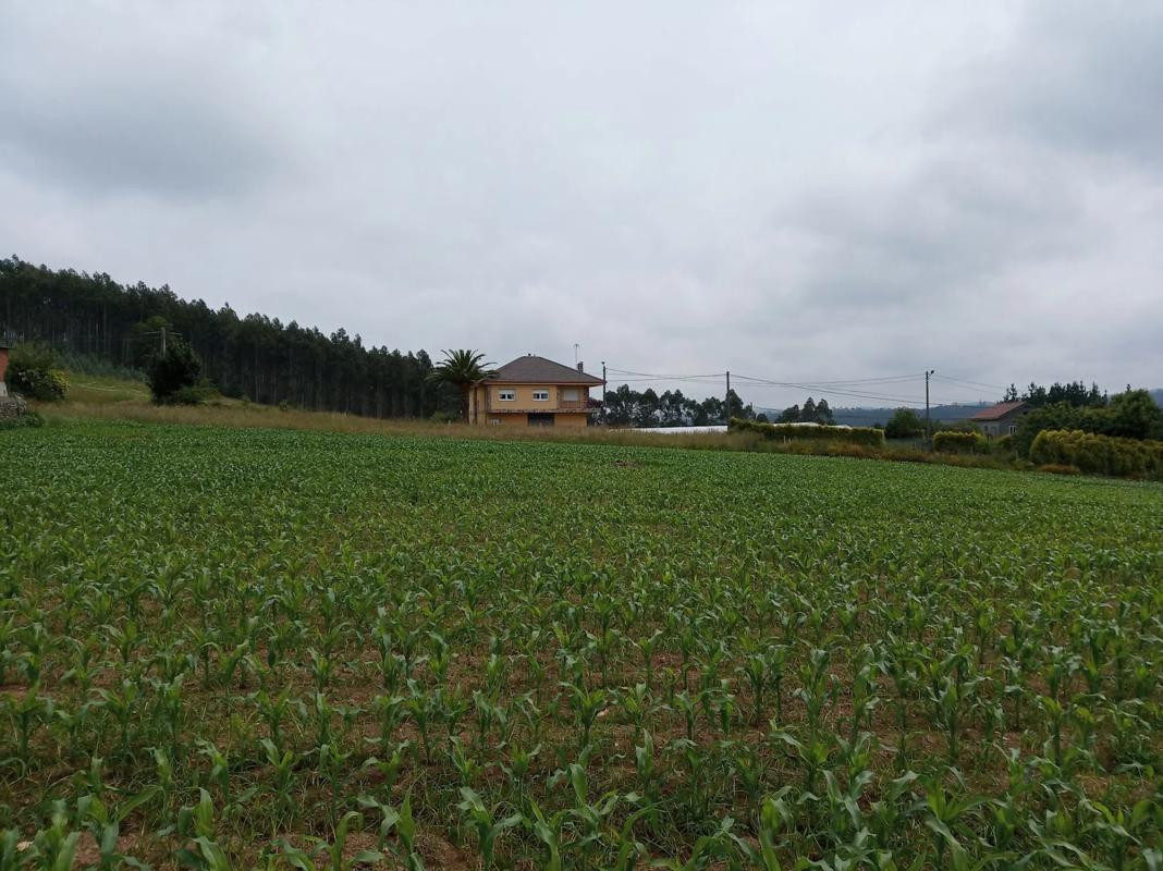Terreno en venta en Carballo, A Coruña photo 3