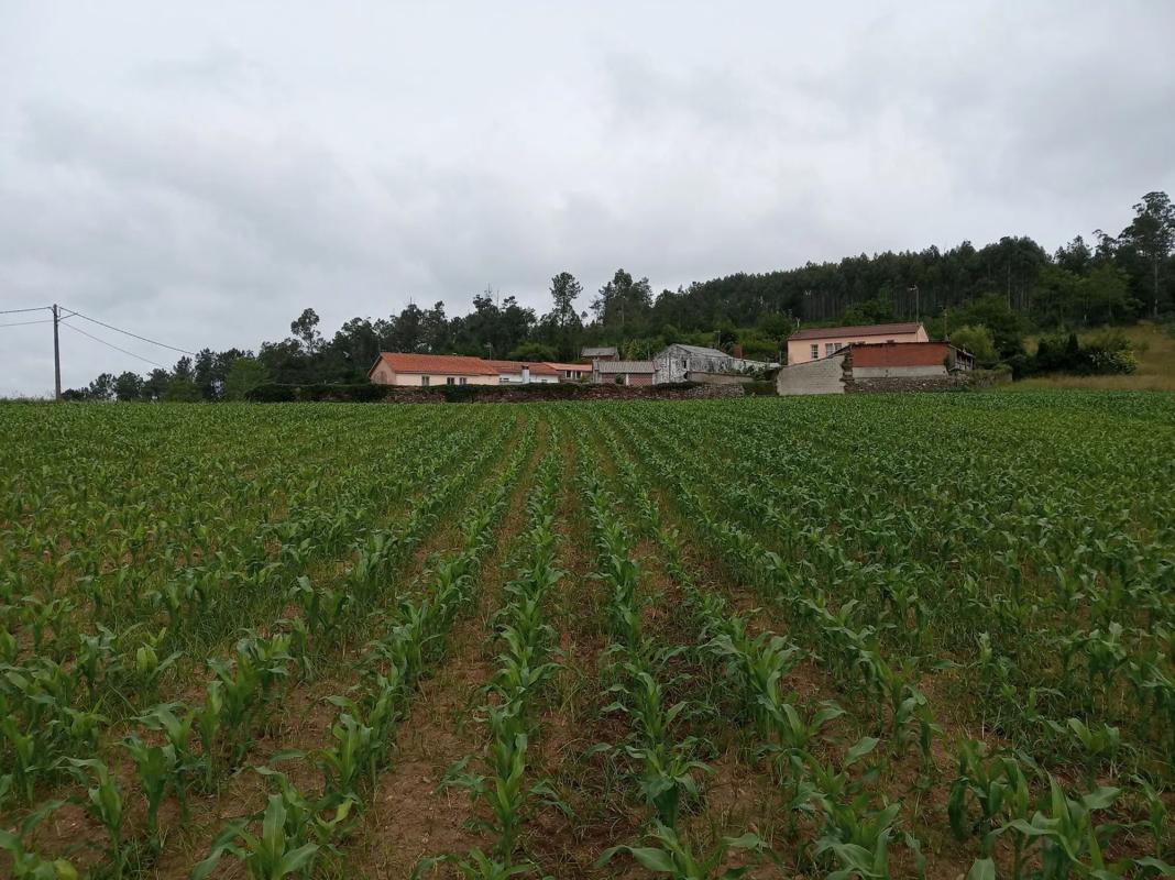 Terreno en venta en Carballo, A Coruña photo 4