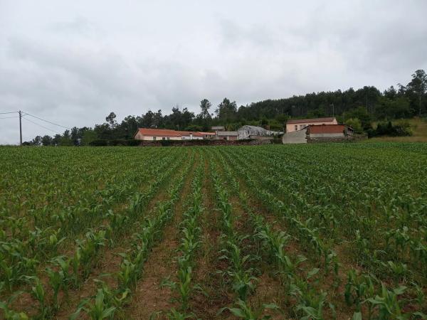 Terreno en Sofán s/n photo 4