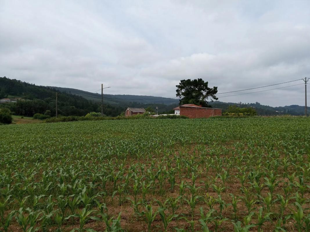 Terreno en venta en Carballo, A Coruña photo 5