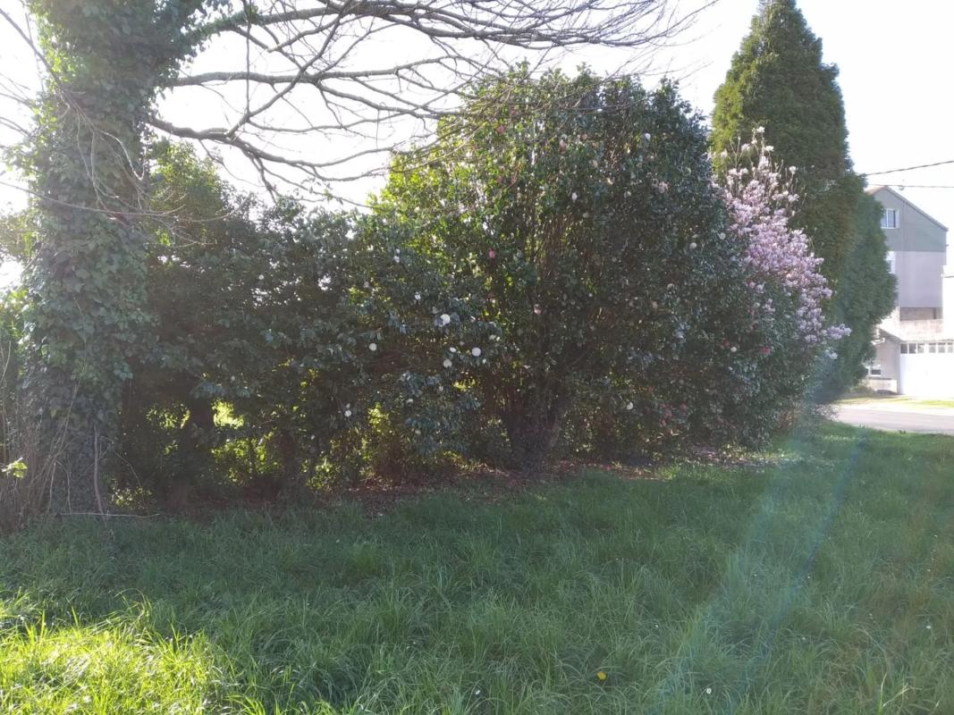 Terreno en venta en Laracha, A Coruña photo 2