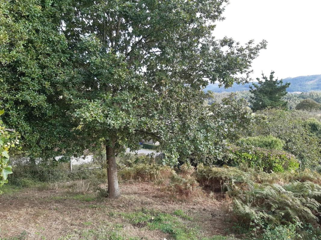 Land for sale in Laracha, A Coruña photo 1