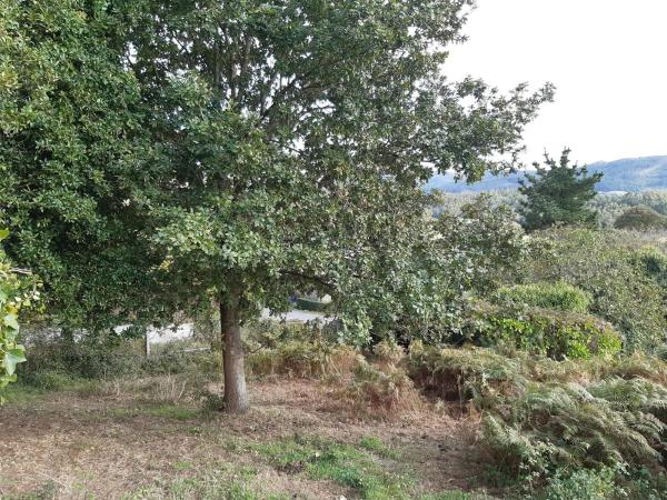 Terreno en Paiosaco s/n photo 1