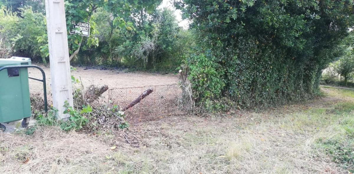 Land for sale in Carballo, A Coruña photo 3