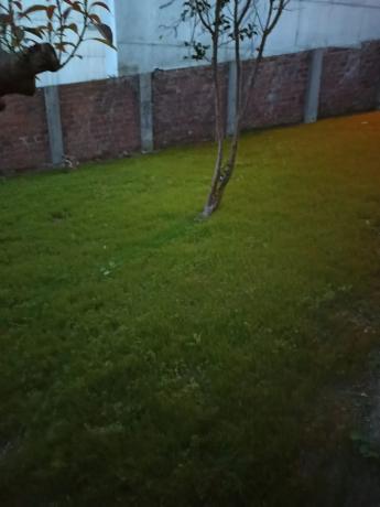 Terreno en calle Barreiro, 31 photo 3