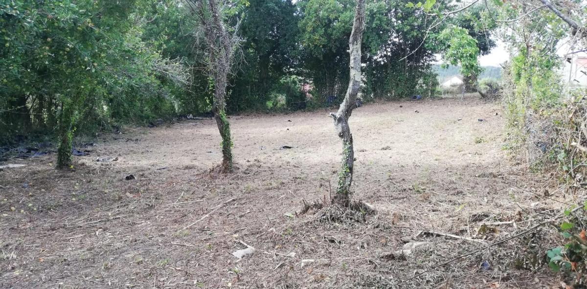 Terreno en venta en Carballo, A Coruña photo 5