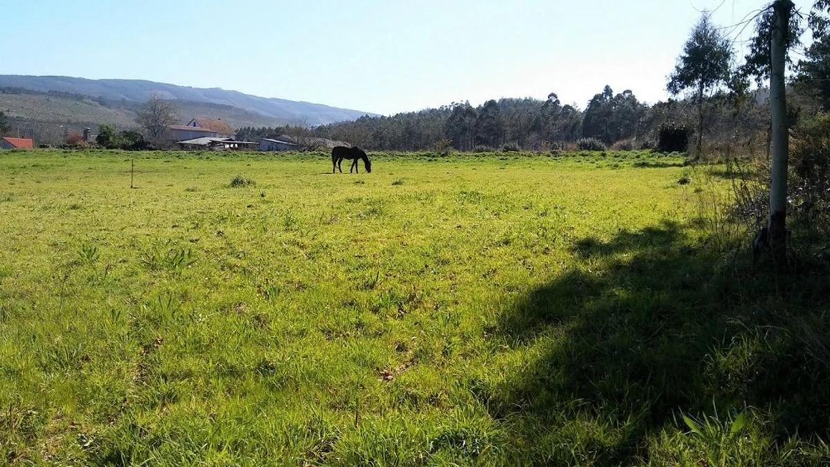 Terreno en venta en Coristanco, A Coruña photo 4