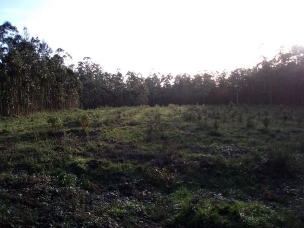 Terreno en Filgueira s/n photo
