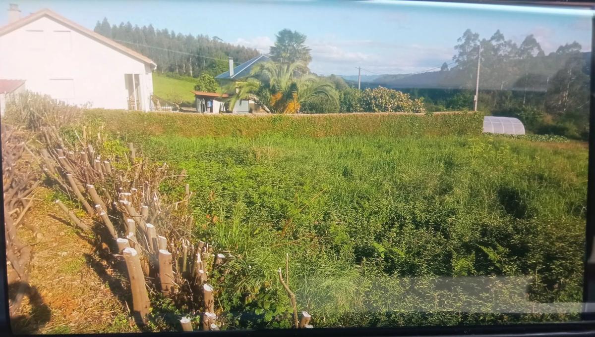 Land for sale in Laracha, A Coruña photo 3