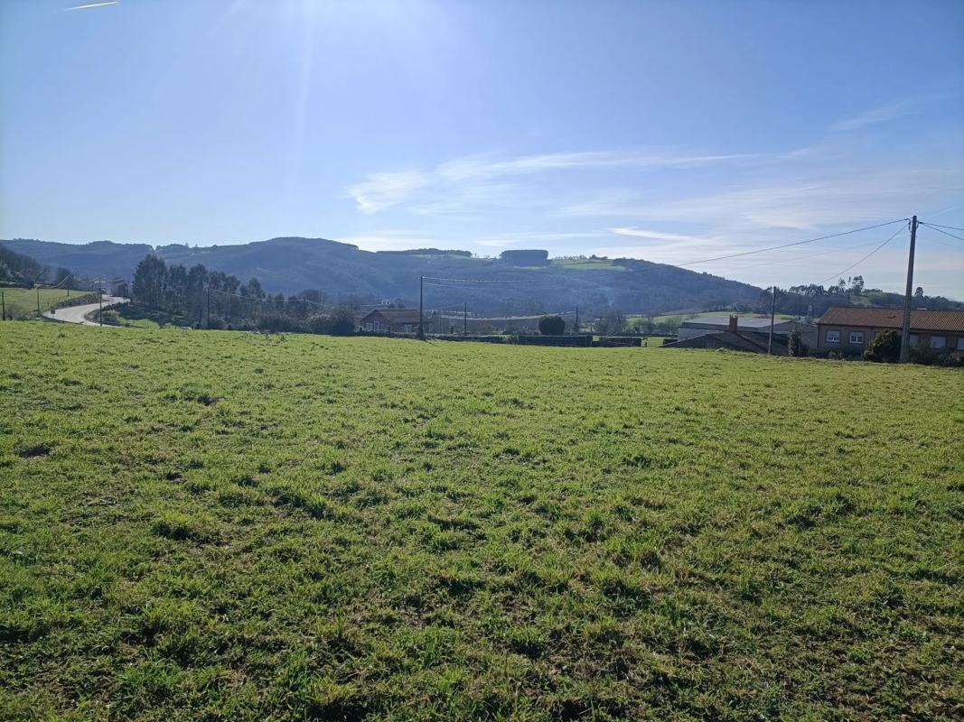 Terreno en venta en Boimorto, A Coruña photo 2