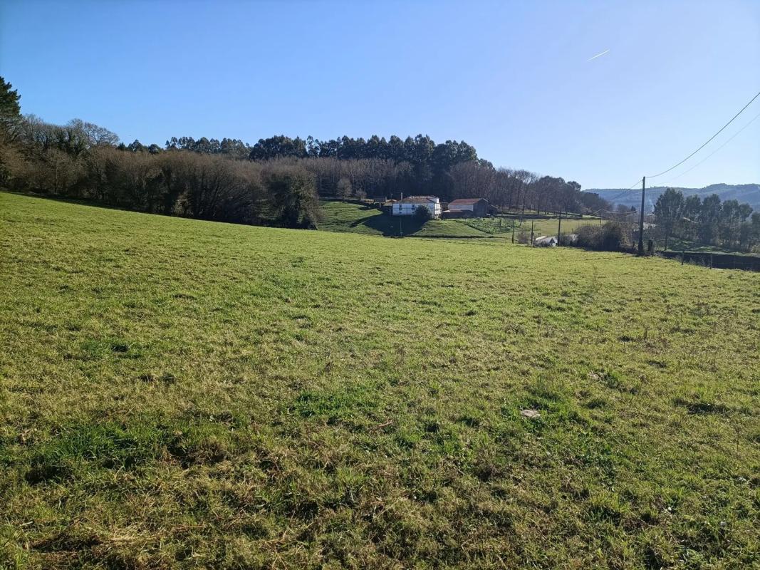 Terreno en venta en Boimorto, A Coruña photo 3
