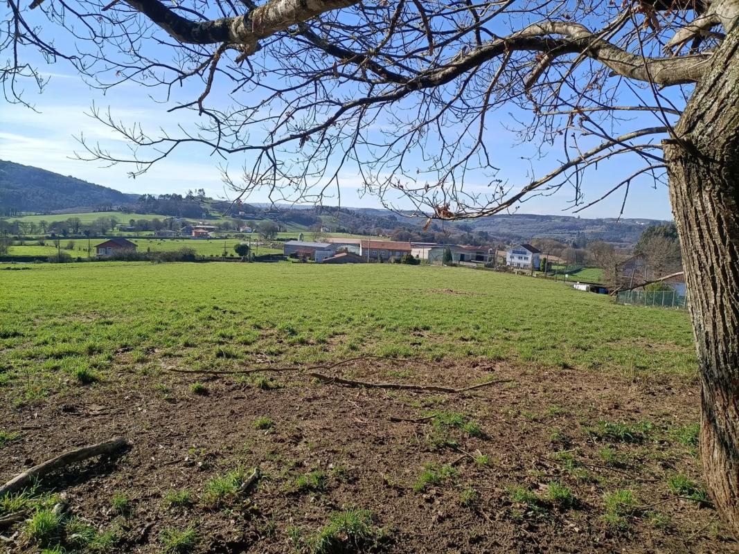 Terreno en venta en Boimorto, A Coruña photo 4