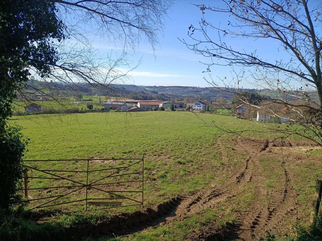 Terreno en venta en Boimorto, A Coruña photo 5