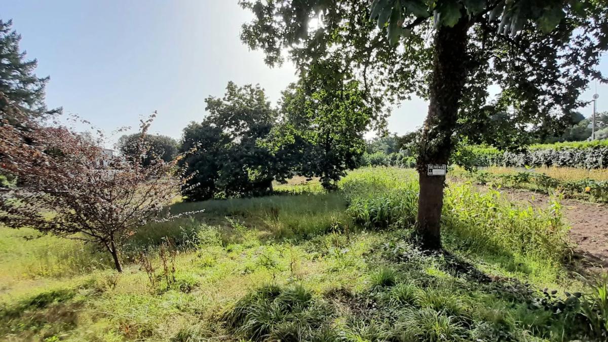 Terreno en venta en Boimorto, A Coruña photo 5