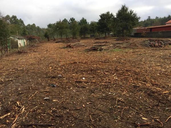 Terreno en o Pereiro s/n photo 1