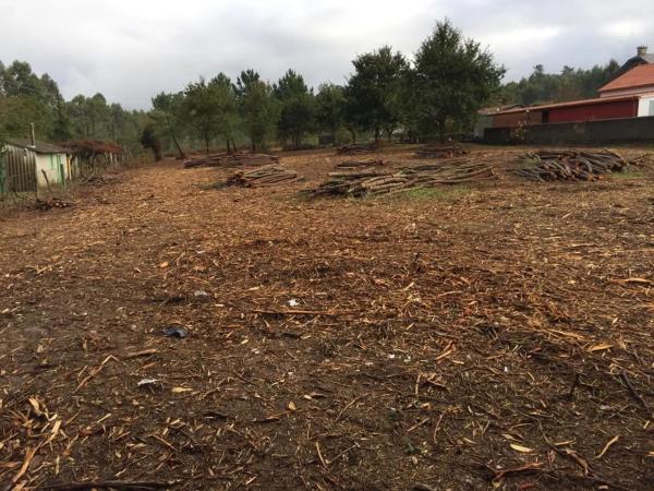 Terreno en o Pereiro s/n photo 2