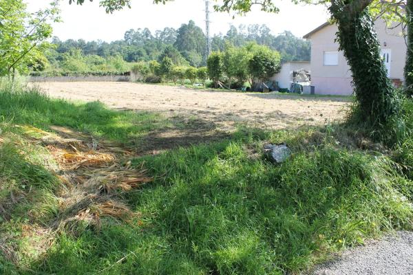 Terreno en camino Pereiro, 11 photo 1