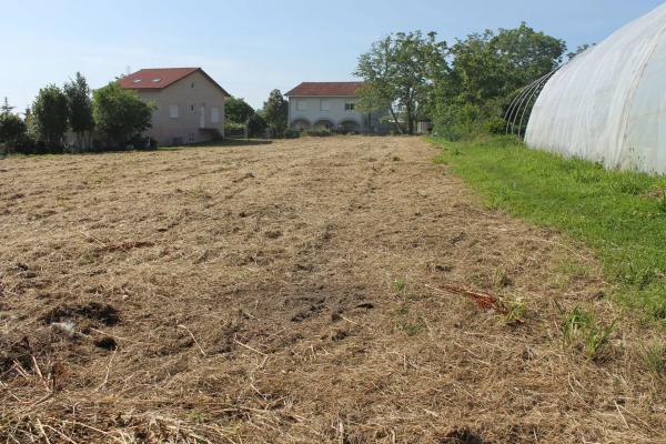 Terreno en camino Pereiro, 11 thumbnail 2