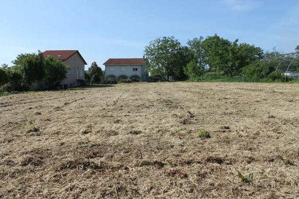 Terreno en camino Pereiro, 11 photo 4