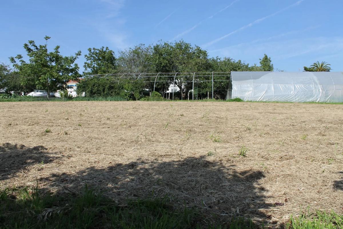 Terreno en venta en Cabanas, A Coruña photo 5