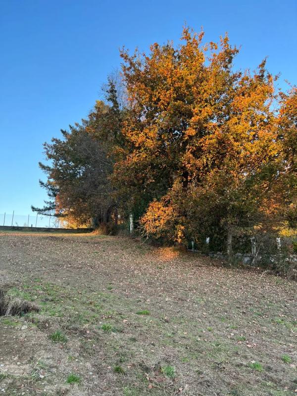 Land for sale in Cabanas, A Coruña photo 5