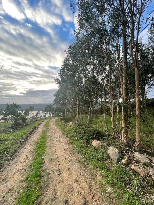 Land for sale in Camariñas, A Coruña photo 2
