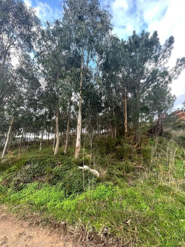 Land for sale in Camariñas, A Coruña photo 5