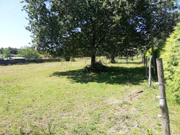 Terreno en a Rega s/n photo 1