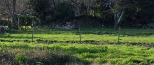 Terreno en Aldea Frean, km 952 photo 2