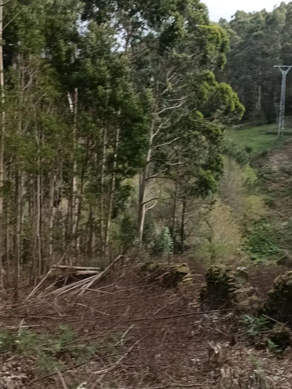 Terreno en venta en Carnota, A Coruña photo 2