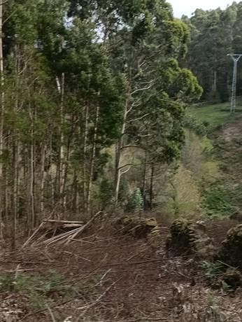 Terreno en calle Lira, 14 photo 2