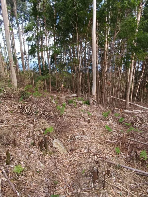 Terreno en venta en Carnota, A Coruña photo 3
