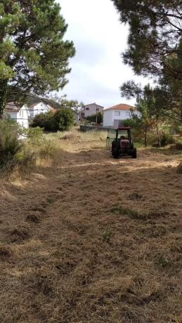 Terreno en Poligono 11 parcela 2245, 2245 PArcela photo 3