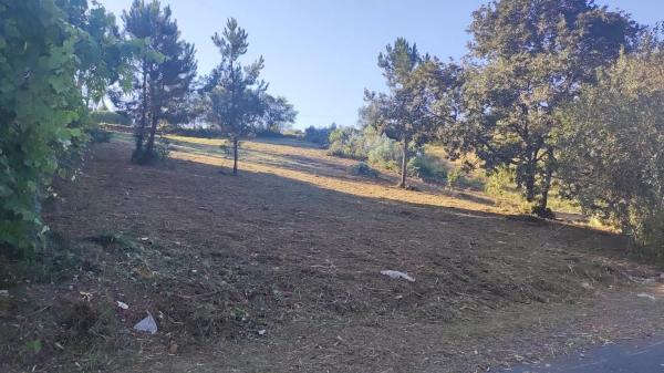 Terreno en calle Sauce, 5 photo