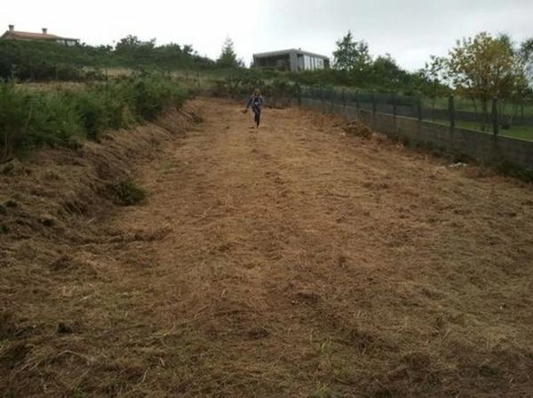 Terreno en calle Urogallo, 32 photo 4