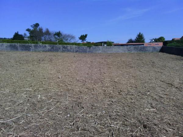 Terreno en calle abedul, 15 photo 4