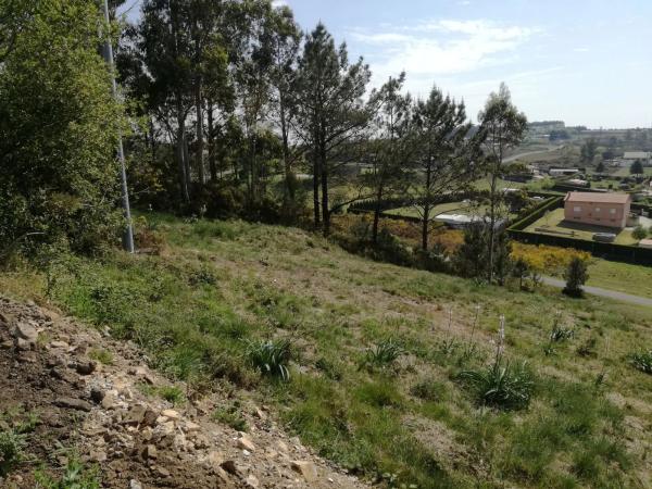 Terreno en Urbanización o Castelo s/n CalleMagnolio photo 4