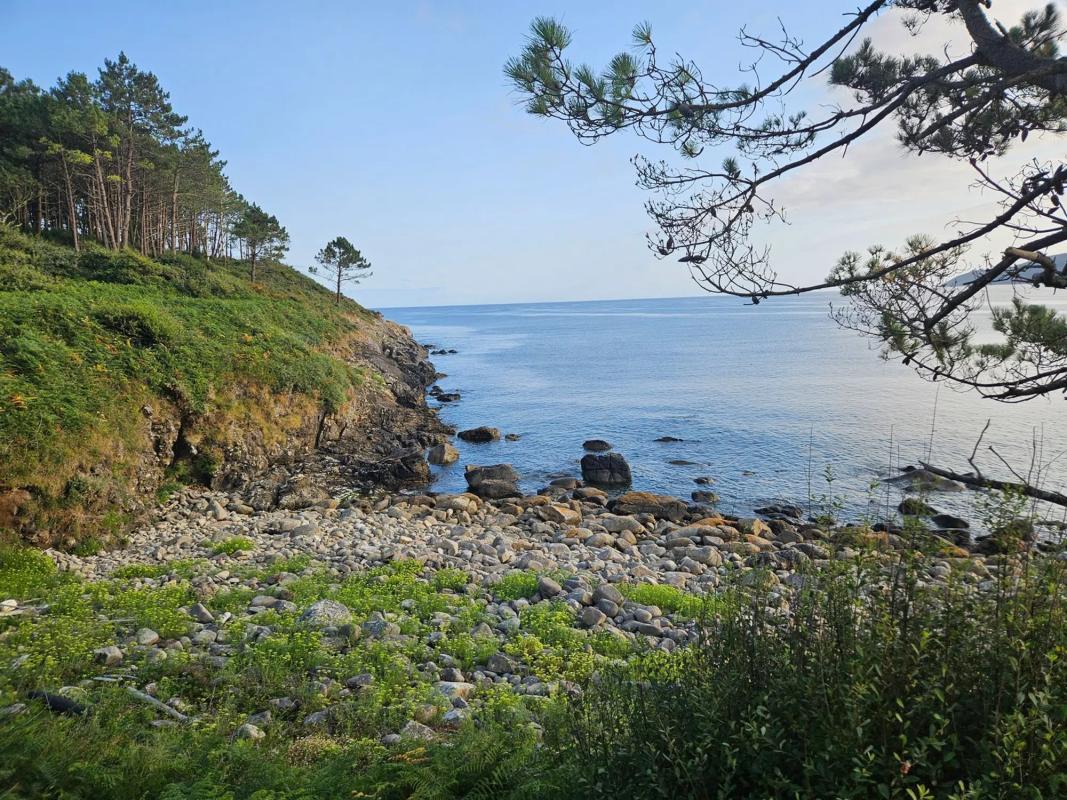 Działka na sprzedaż w Corcubión, A Coruña photo 4
