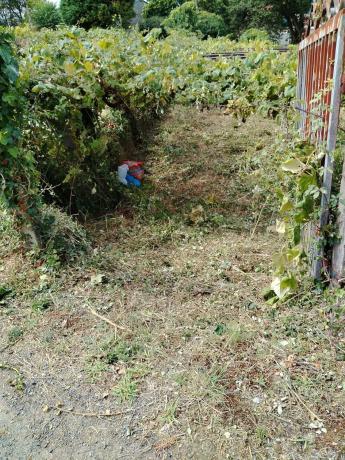 Terreno en Aldea de Reboiras (Laíño) s/n photo 1