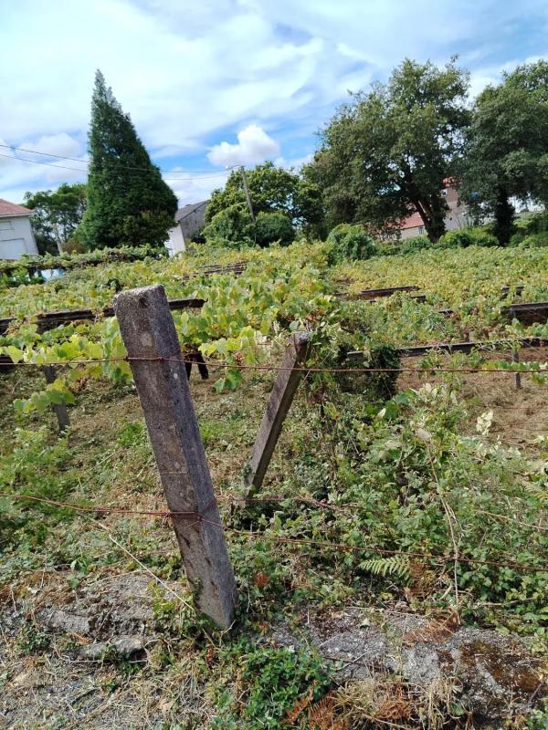Участок земли на продажу в Додро, Ла-Коруня photo 4