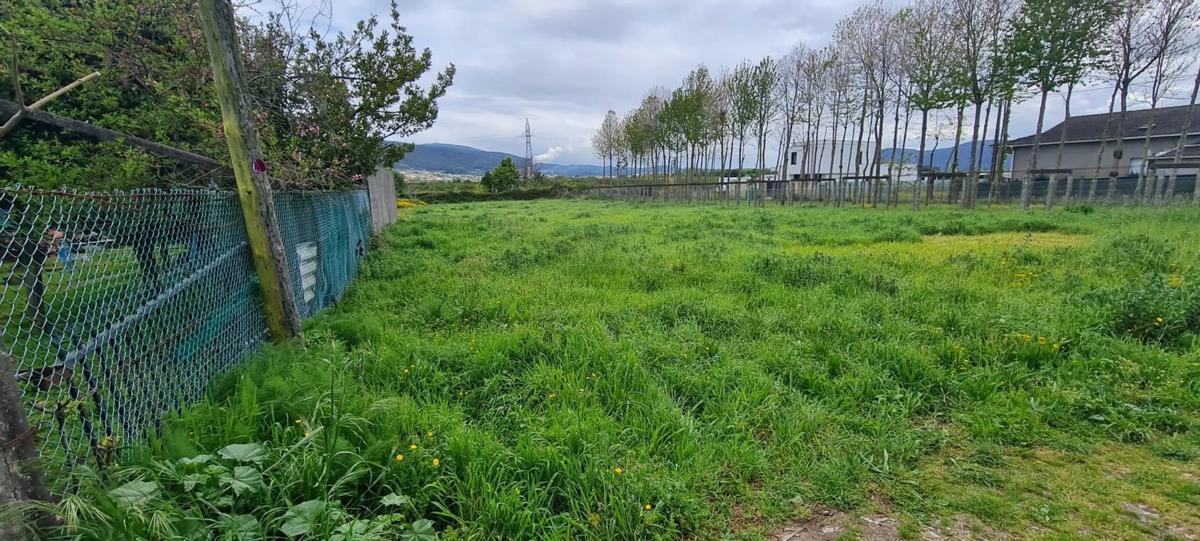 Land for sale in Dodro, A Coruña photo 3