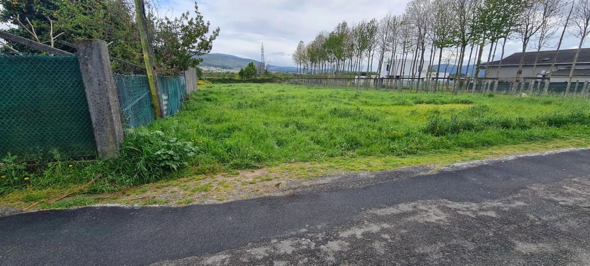 Land for sale in Dodro, A Coruña photo 4