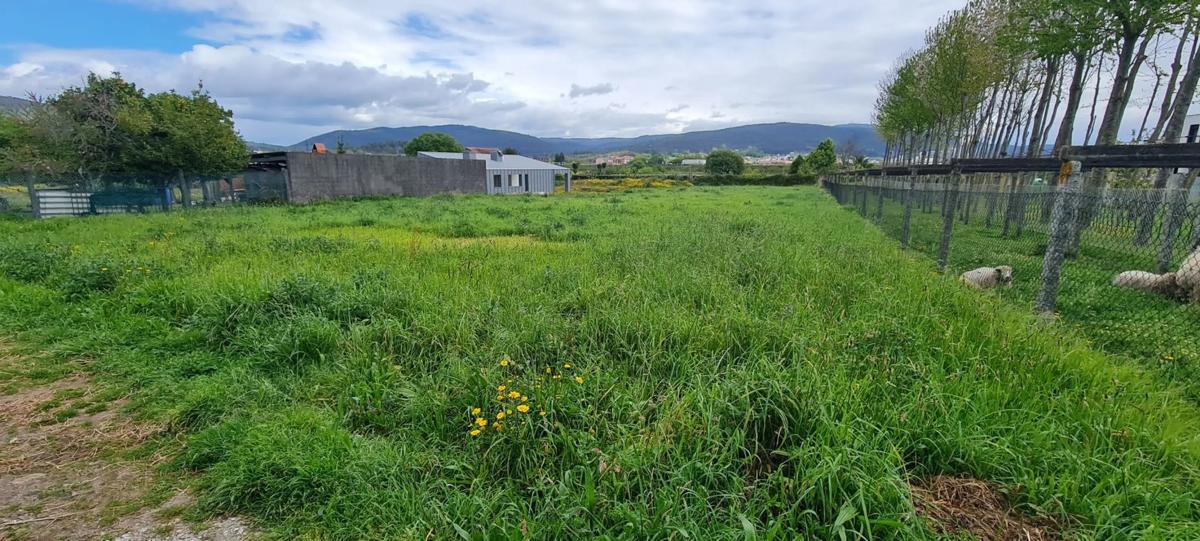 Land for sale in Dodro, A Coruña photo 5