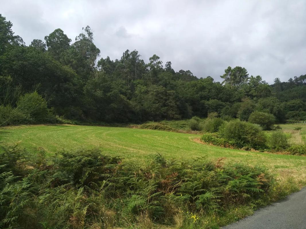 Terreno en venta en Dodro, A Coruña photo 2