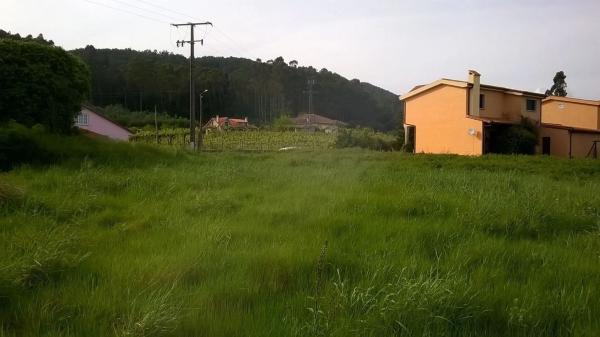 Terreno en Aldea Imo, km 1 photo 2