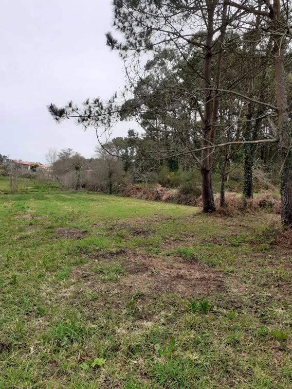 Terreno en venta en Fisterra, A Coruña photo 2