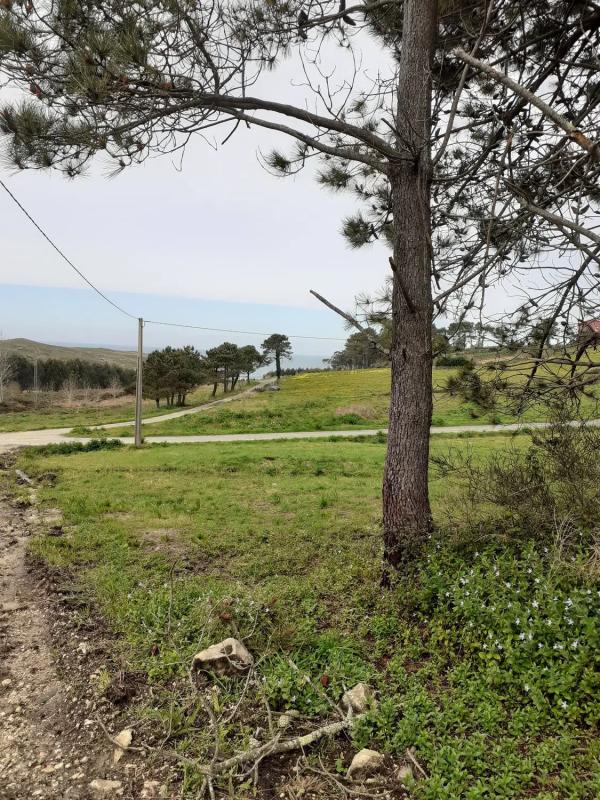 Terreno en venta en Fisterra, A Coruña photo 4