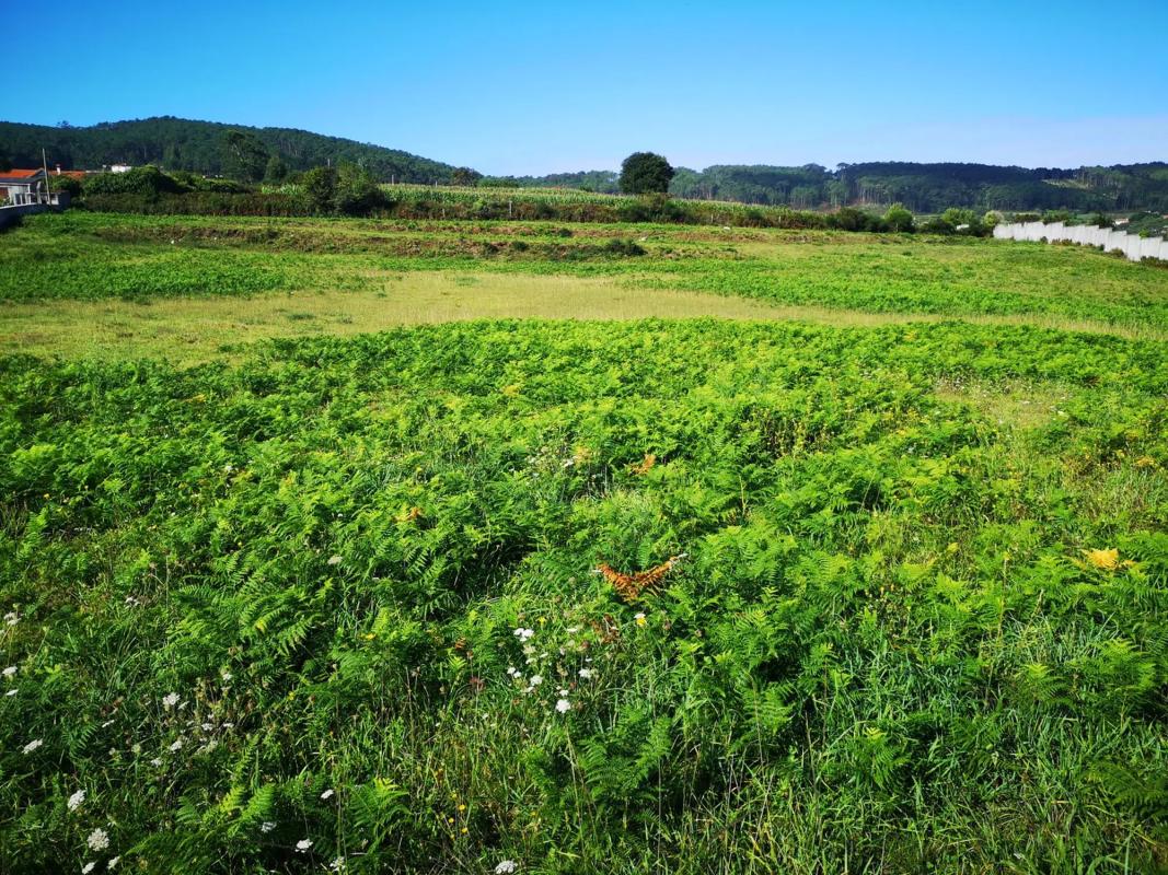 Land for sale in Fisterra, A Coruña photo 4