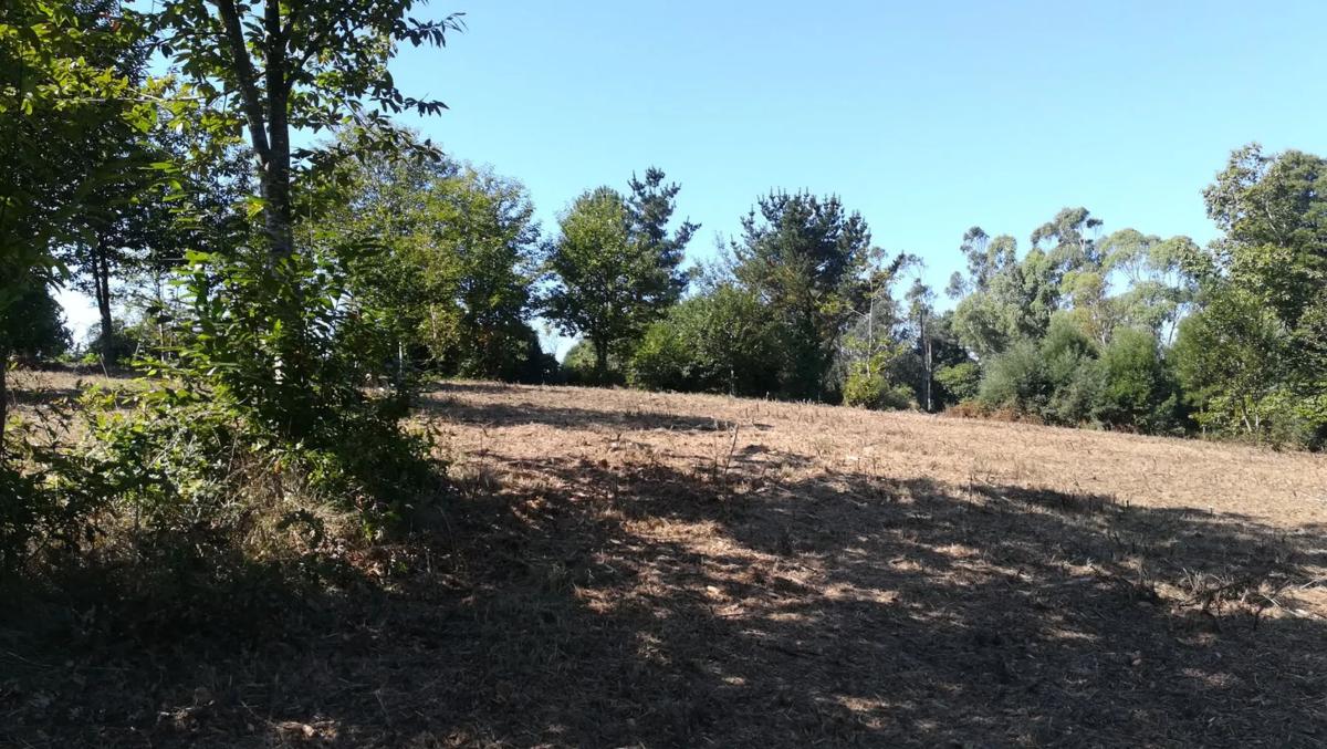 Terreno en venta en Mazaricos, A Coruña photo 2