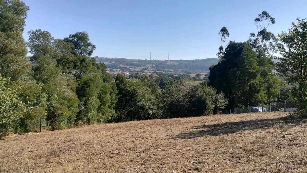 Terreno en venta en Mazaricos, A Coruña photo 5